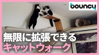 ネコの通り道を無限に拡張！ モジュラー式キャットウォーク「CatScapes」