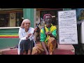 Drama, Jiruufi Jireenya ummata Jamaica Magaalaa shashamanne Part 2