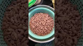Thinh.Zero.Food : Nui Gạo Lứt Món Ăn Ngon Bữa Cơm Gia Đình  #food #cooking #amthuc #monngon  #nauan