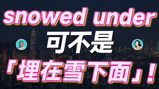 snowed under可不是「埋在雪下面」！