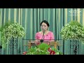 union baptist church kohima sunday worship live streaming october 11 2020