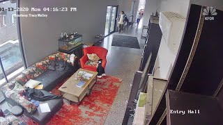 Good boy! Great dane takes on home intruder