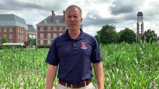 Morrow Plots