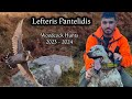 Woodcock Hunting from Lefteris (2023 -2024) Editing by JTzoumas (UHD 4K)