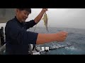 【海釣船釣魚】聽說北三除了紅魽跟煙仔虎之外，底棲生態豐富黃雞魚又肥又大，不釣不知道釣了嚇一跳...