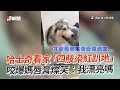 兩狗堅守門外當鬧鐘　緊盯＋亂跳催媽起床｜寵物動物｜叫床