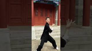 Tai Chi|打太极就是要刚柔并济 #taichi #taichiquan #kungfu #太极 #太极拳 #功夫 #wushu #martialarts #taiji #taijiquan