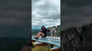 (Clouds) മേഘങ്ങൾക് ഇടയിൽ ഒരു cafe ft: #vietnam #shorts #minivlog