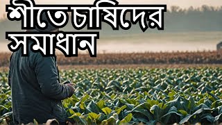 শীত ও কুয়াশায় চাষিদের করণীয়