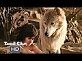 The Jungle Book (2016) - Raksha and Mowgli Talking Scene Tamil [2/15] | Movieclips Tamil