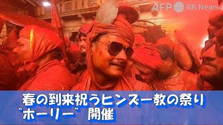 春の到来祝うヒンズー教の祭り「ホーリー」開催（2022年3月撮影）