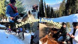 pahalgam mai ki horse riding mera dost gir gya