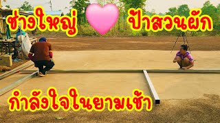 #เช้าวันใหม่#กำลังใจในยามเช้า#ลุงช่างป้าสวนผัก#มนต์โอมชาแนล