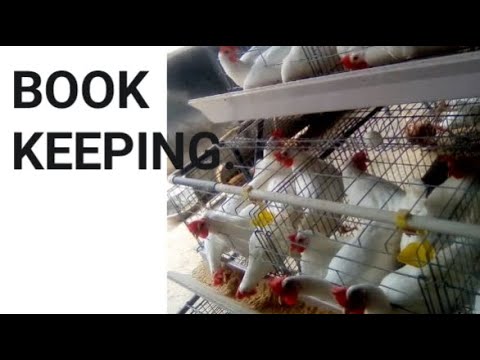 BOOK KEEPING IN POULTRY. HOW TO RECORD ACTIVITY OF A FARM. SAMPLE OF ...