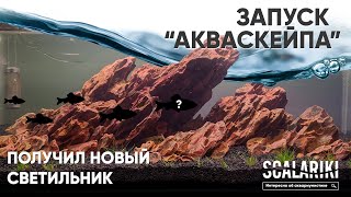 Запускаю акваскейп с новым светом  Оформление аквариума 40 литров  Камень Дракон