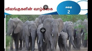 4 ஆம் வகுப்பு அறிவியல் பருவம்  அலகு   2 விலங்குகளின் வாழ்க்கை -சரியான விடை , கோடிட்ட இடம் ,பொருத்துக