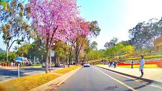 广州麓湖公园驾游。 Guangzhou driving tour