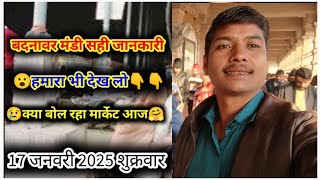 बदनावर मंडी हरा मटर भाव 4:00 वाला माहोल |17 जनवरी| Today Matar Price | badnawar mandi bhav