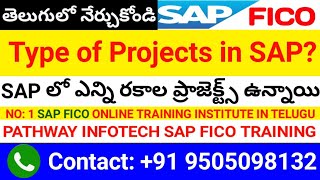 SAP లో ఎన్ని రకాల ప్రాజెక్ట్స్ ఉంటాయి? || How many type of projects in SAP || SAP FICO in telugu