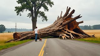 Ultimate Quintessential Woodworking Master: Transform Worthless Dead Trees Into Perfect Coffee Table