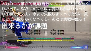 入力のコツ革命的発見(自分レベル)　【入力超ゆっくりで出る。SA3キャンセルは弱でもかなりゆっくり丁寧で大丈夫。】今まで失敗しまくってたSA一気にほぼ失敗しなくなる。あとは実戦中焦らず出来るかが課題