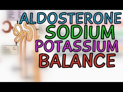 How does aldosterone increase sodium reabsorption?