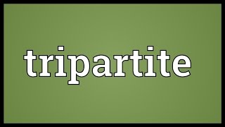 Tripartite Meaning