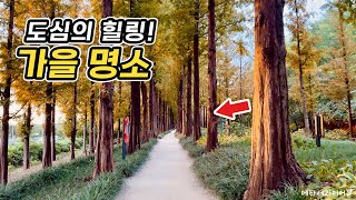 [4K] 도심 속 가장 큰 억새 군락지 / 하늘공원 억새축제 / 서울 당일치기 가을 뚜벅이 여행은 이곳으로 가세요.