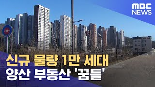 신규 물량 1만 세대 양산 부동산 '꿈틀' (2024.01.12/뉴스데스크/부산MBC)