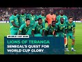 Senegal seeks redemption in tough World Cup group