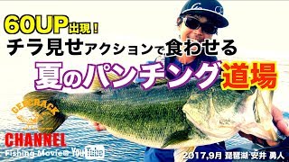 【バス釣り】ロクマル登場！チラ見せアクションで食わせる夏のパンチング道場！琵琶湖：安井勇人