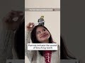 funny parrot funny funnyanimls funnyshorts animals fyp foryou