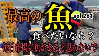 最高の魚食べたいなら？編 vol.261