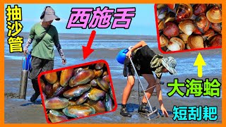 【吳小珍】大海蛤在哪裏? 怎麼跟你想的不一樣!? 有小就有大，大蛤不多po，在地友人生氣氣啦!! (趕海、耙蛤、挖蛤蜊、西施舌、短刮耙、抽沙管、漢寶濕地、蛤蜊耙、蛤蠣耙、福寶濕地、王功、香山濕地…)