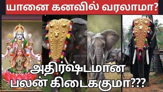 யானை கனவில் வரலாமா?அதிர்ஷ்டம் வருமா??வெள்ளை யானை கனவில் வரலாமா? குட்டி யானை கனவில் கண்டால் நல்லதா?