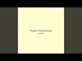 Ocean Forest Breeze