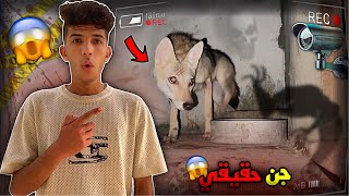 حطيت كاميرات مراقبه للديب الملبوس | ظهور كائن غريب 😱