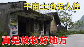 大山发现一废弃房子，周围几千亩内无人居住，真是放牧的好地方【乡村阿泰】