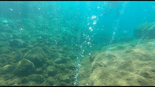 Champagne Reef in Dominica - Celebrity Summit 2019 [Ep. 26]