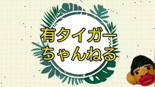 【ドラレコ】浜松市内  入野～志都呂