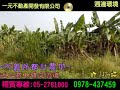 大義路都計農地 總價4 200萬~嘉義房屋資訊、嘉義市房屋仲介05 2781000