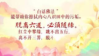 卢台长【师父每日佛言佛语】内心外心 2021年3月5日 6-2《脱离六道，必须随缘》