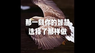 201703 那一刻你的智慧选择了那样做22221