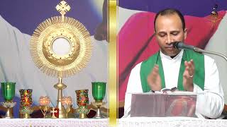 Adoration & Daily Mass | 29-11-2024 | Divine Call Centre, Mulki