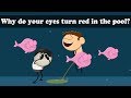 Why do your eyes turn red in the pool? |  #aumsum #kids #science #education #children