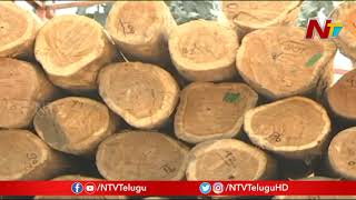 Adilabad Forest Department Officers In Target For Vigilance || NTV