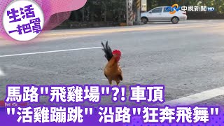 《生活一把罩》馬路\