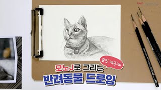 톰보 l 모노J로 그리는 반려동물 드로잉