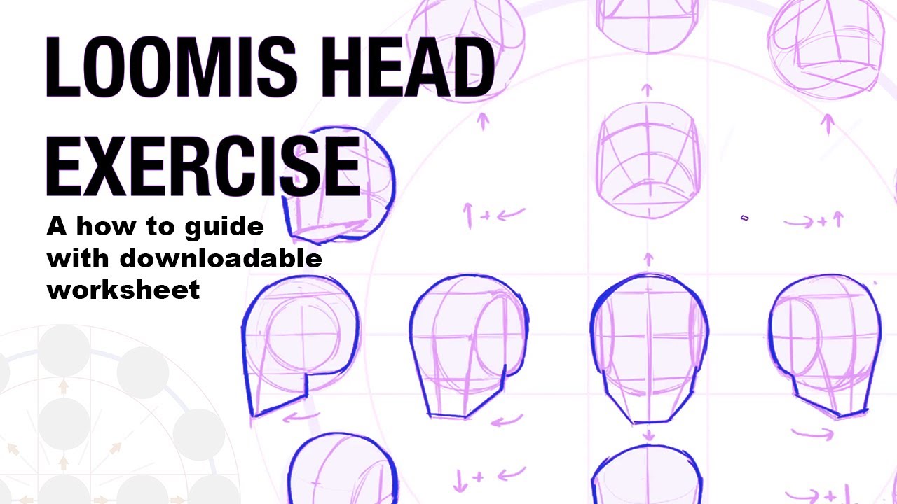 Drawing Heads With The Loomis Method At Peggy Bradley Blog