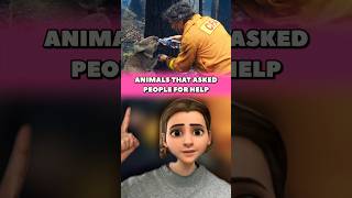 ANIMALS THAT ASKED PEOPLE FOR HELP 🥹 #rescue